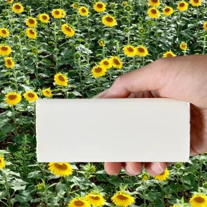 Home & Wellness | Collina Strada Vegan Stain Remover Bar | Kind Laundry